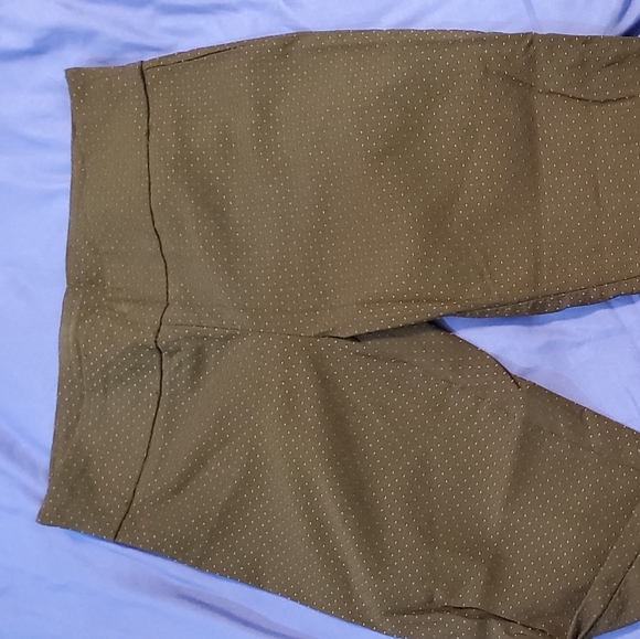 Capris - Picture 2 of 3